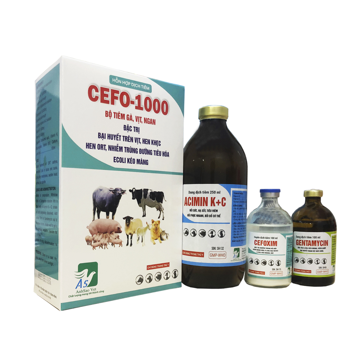 CEFO - 1000
