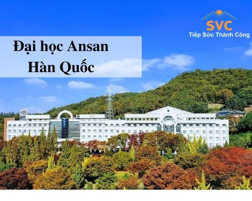 Đại học Ansan - ngôi trường có nhiều du học sinh Việt Nam lựa chọn