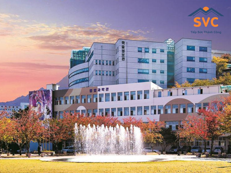 Tổng quan về Đại học Daegu Hàn Quốc