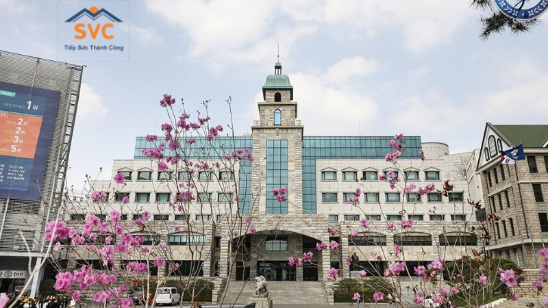 Đại học Hanyang - Biểu tượng giáo dục hàng đầu của Hàn Quốc