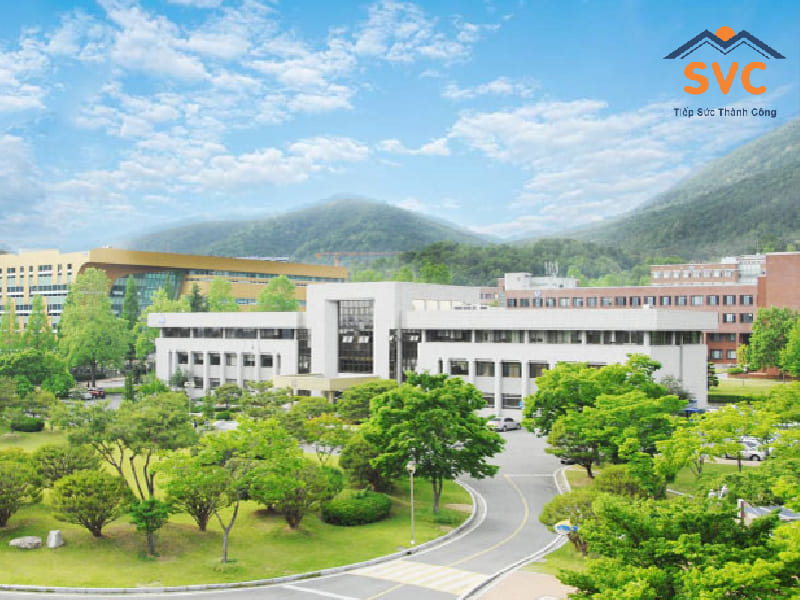 Tổng quan về đại học Hanyeong