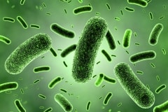 rất nhiều vi khuẩn gây bệnh từ bên trong máy điều hòa nhà bạn