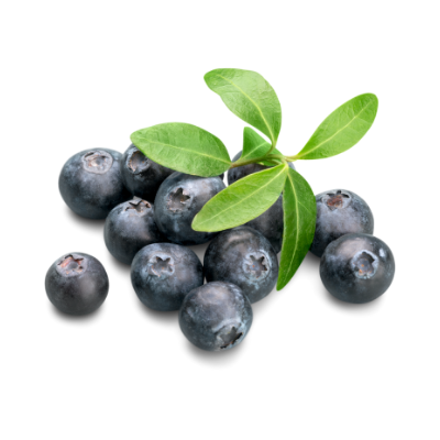 Fresh Foods