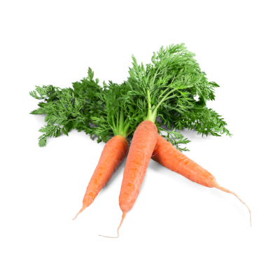 Fresh Foods